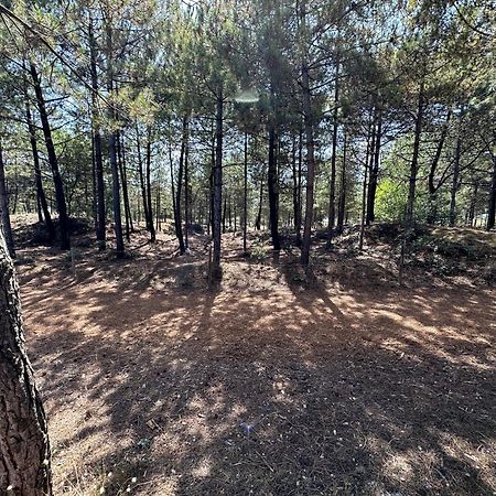 Appartement Au Bord De Mer Saint-Brevin-les-Pins 외부 사진