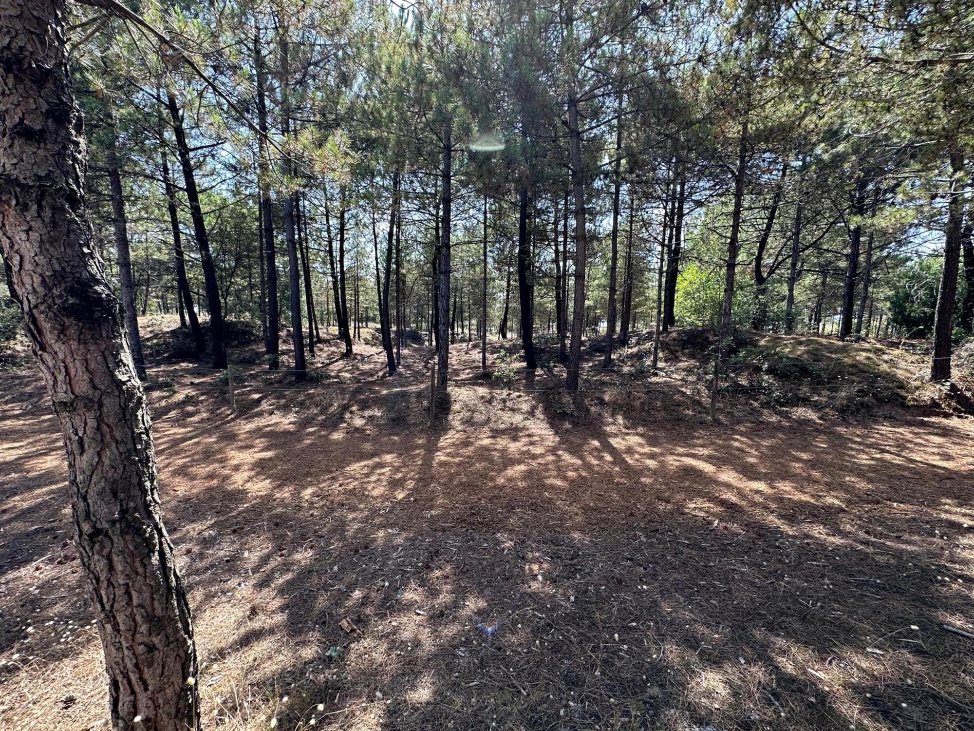 Appartement Au Bord De Mer Saint-Brevin-les-Pins 외부 사진